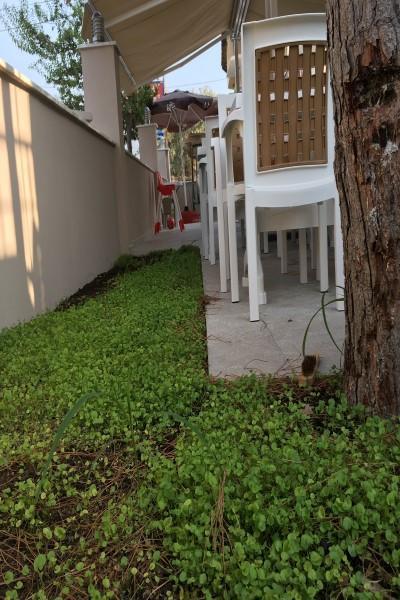 Vıra Hotel Dalyan Bagian luar foto